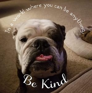 Meet your Posher, Crystal m